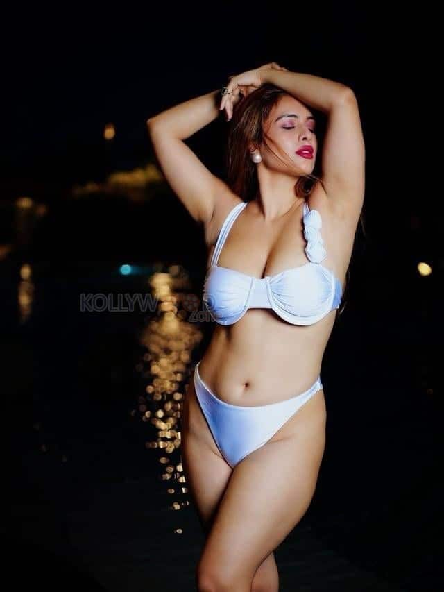 Erotic Beauty Neha Malik in a White Two Piece Lingerie Bikini Photos 02