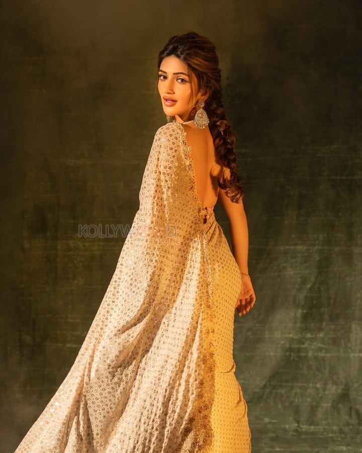 Gorgeous Sreeleela in a Golden Embellished Saree Pictures 06