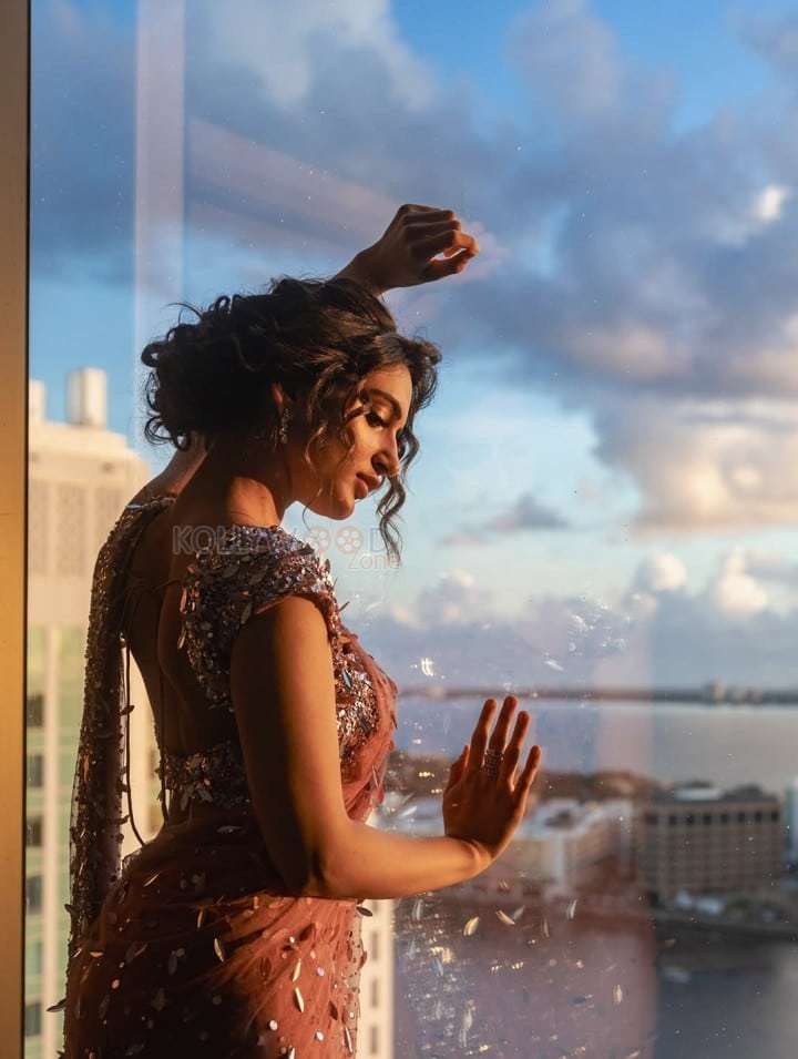 Graceful Sreeleela in a Shimmering Dress Photos 01