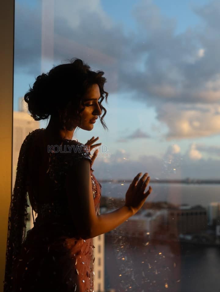 Graceful Sreeleela in a Shimmering Dress Photos 03