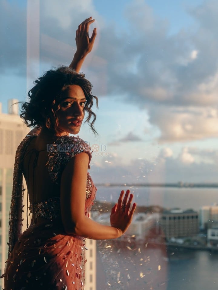 Graceful Sreeleela in a Shimmering Dress Photos 05