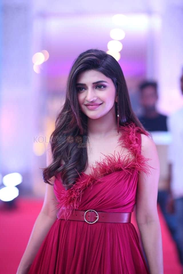 Heroine Sreeleela at Extra Ordinary Man Pre Release Event Photos 10