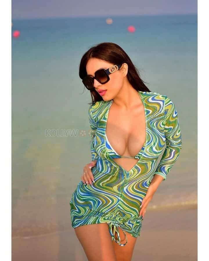 Punjabi Actress Neha Malik Sexy Hot Bikini Photos 01