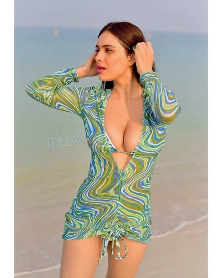 Punjabi Actress Neha Malik Sexy Hot Bikini Photos 02