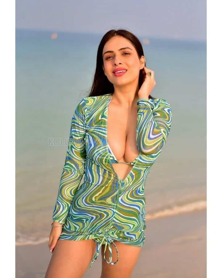 Punjabi Actress Neha Malik Sexy Hot Bikini Photos 03