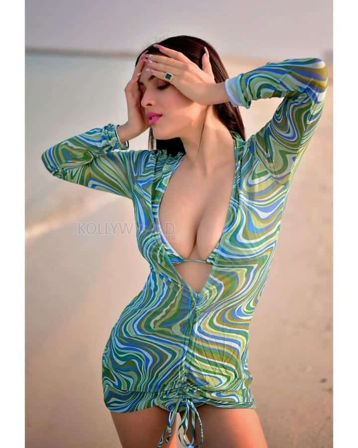 Punjabi Actress Neha Malik Sexy Hot Bikini Photos 04