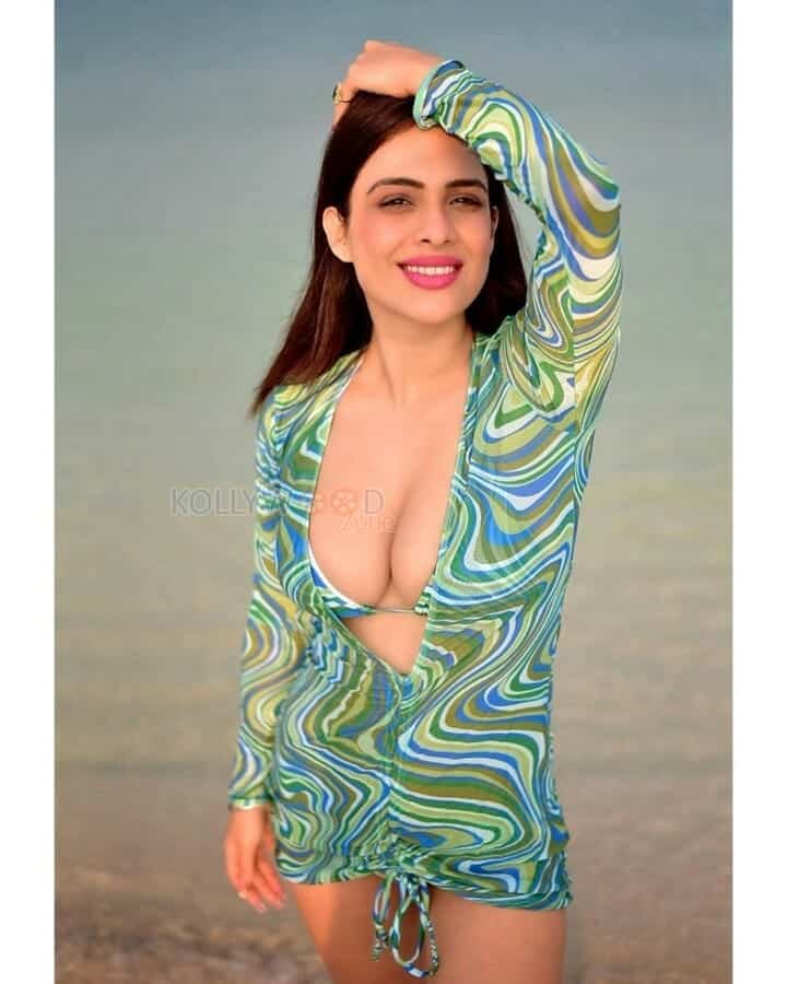 Punjabi Actress Neha Malik Sexy Hot Bikini Photos 05