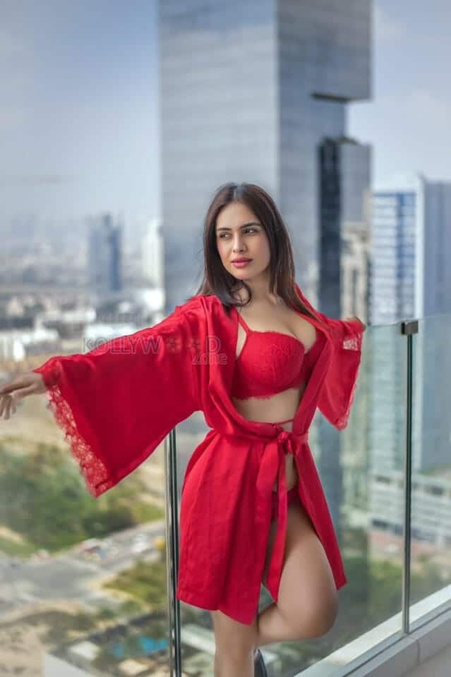 Red Hot Neha Malik Lingerie Pictures 01