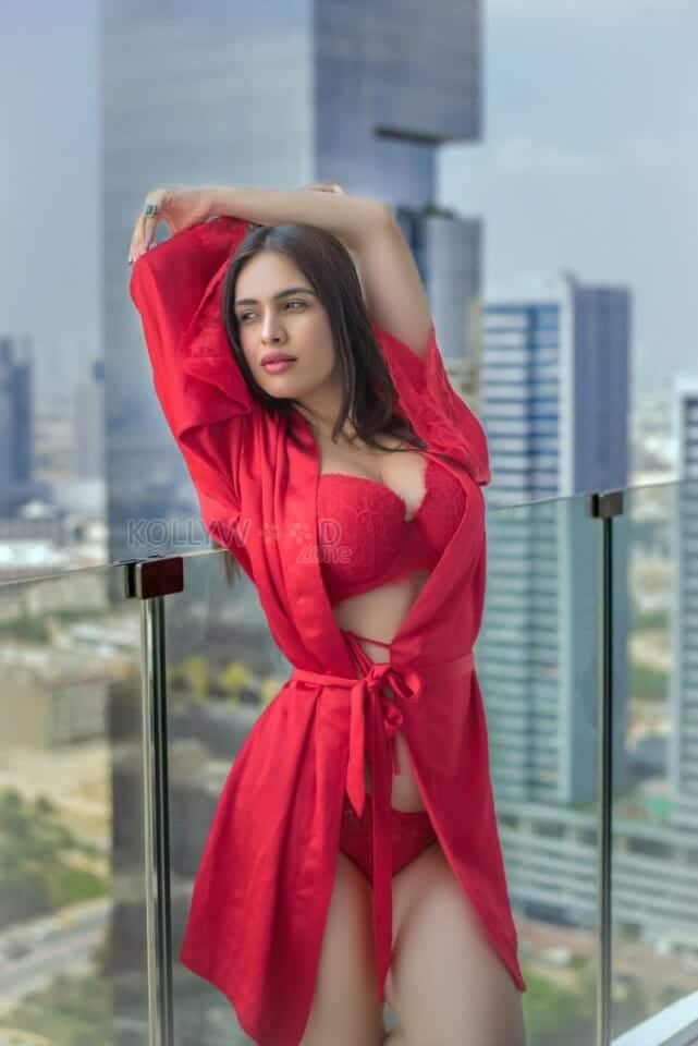 Red Hot Neha Malik Lingerie Pictures 04