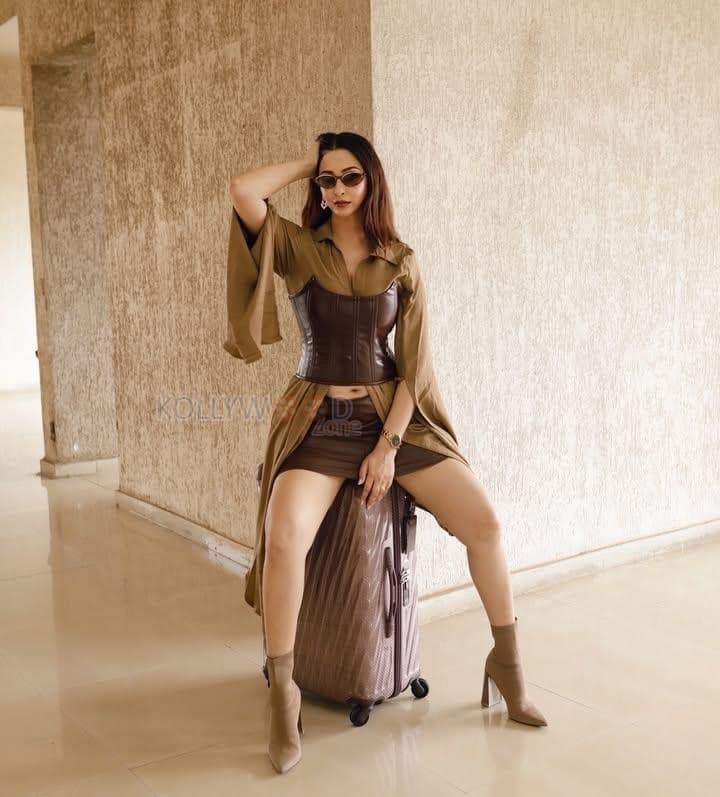 Stylish Eshanya Maheshwari in a Brown Full Sleeve Mini Dress with a Corset Style Top Photos 04