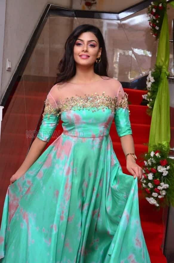 Telugu Actress Anisha Ambrose Photos 22