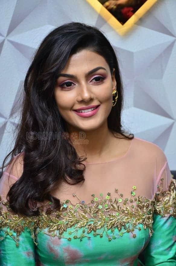 Telugu Actress Anisha Ambrose Photos 32