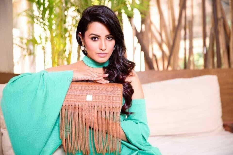 Actress Anita Hassanandani Reddy Photos 11