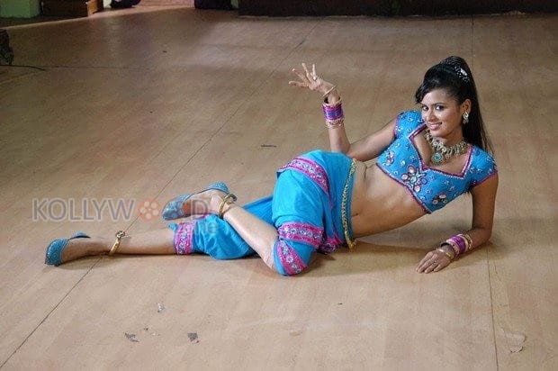 Actress Meenakshi Dixit Hot Spicy Stills 05