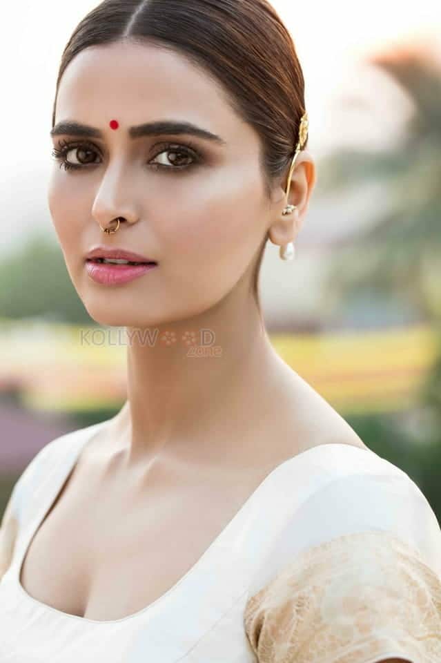 Actress Meenakshi Dixit Sexy Photos 10
