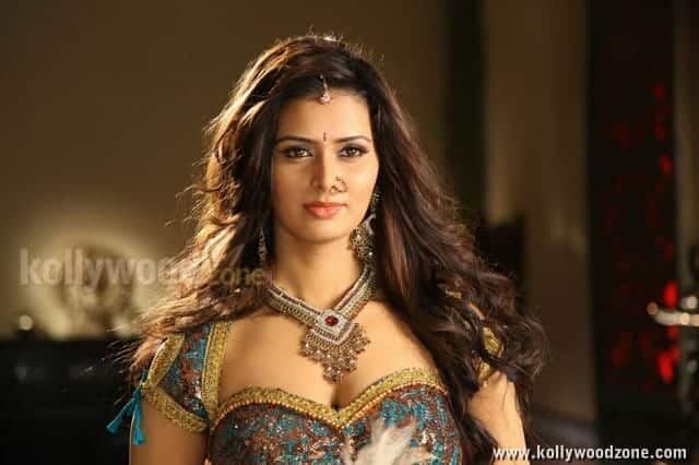 Actress Meenakshi Dixit Sexy Traditional Photos 08