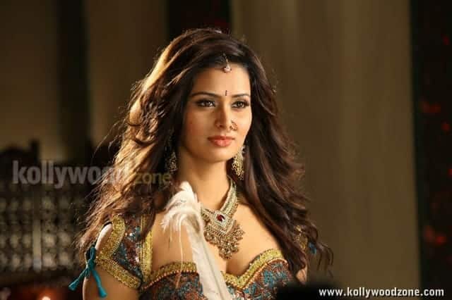 Actress Meenakshi Dixit Sexy Traditional Photos 09