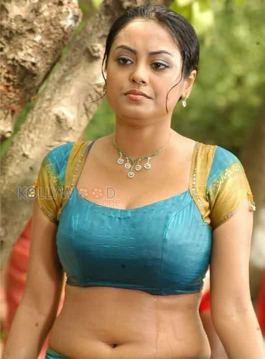 Actress Meenakshi Hot Sexy Wet Pictures 11
