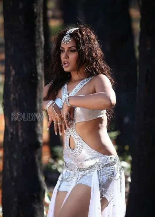 Actress Neetu Chandra Spicy Pictures 14