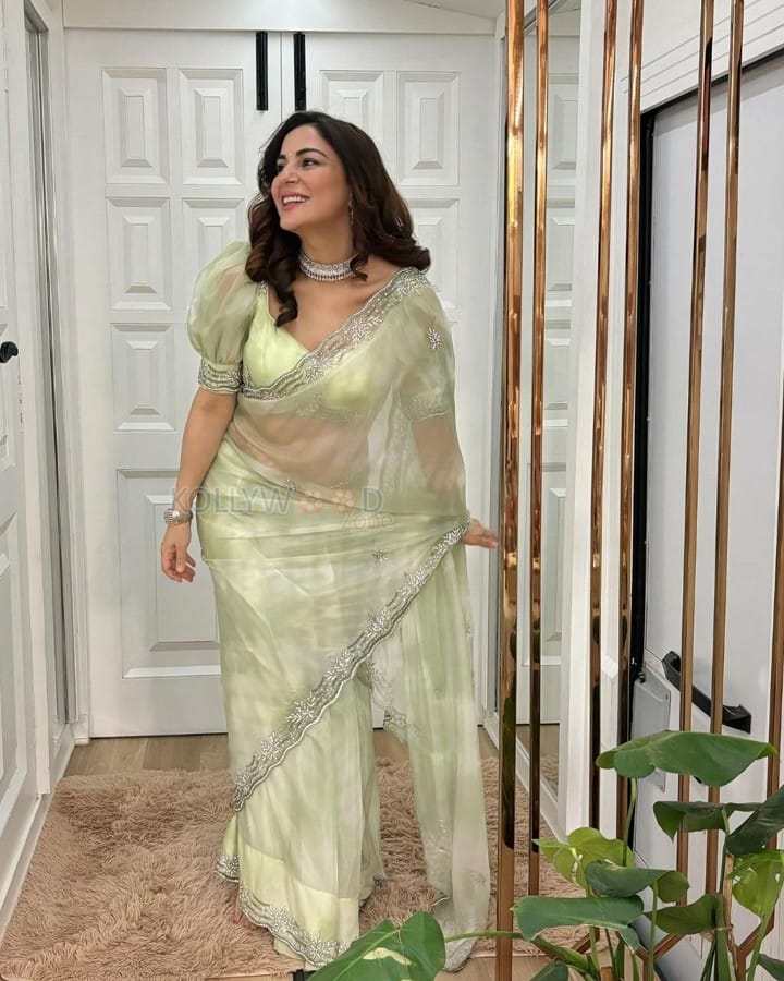 Actress Shraddha Arya in a Light Green Transparent Saree Photos 03