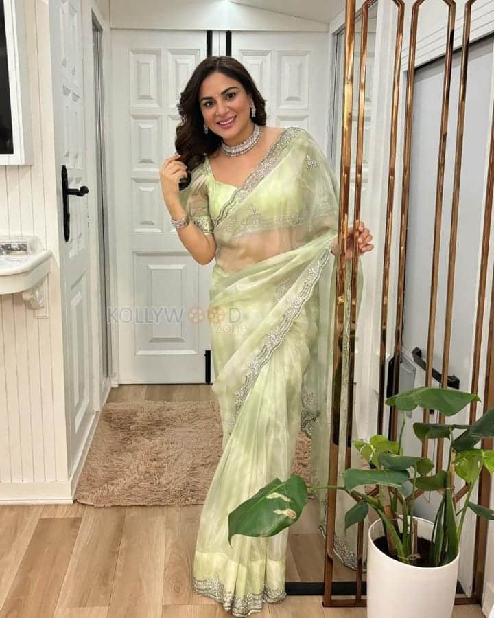 Actress Shraddha Arya in a Light Green Transparent Saree Photos 04