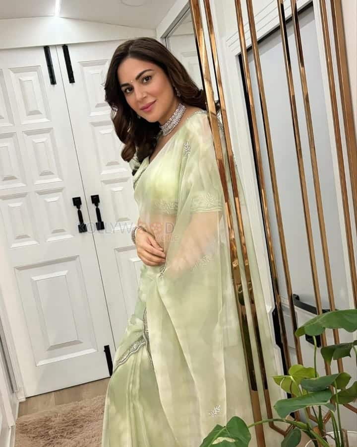 Actress Shraddha Arya in a Light Green Transparent Saree Photos 08