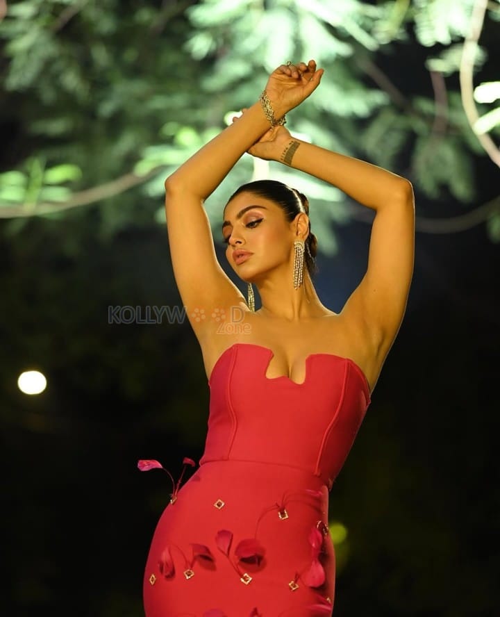 Glamorous Akanksha Puri in a Pink Strapless Gown at Zee Cine Awards Photos 04