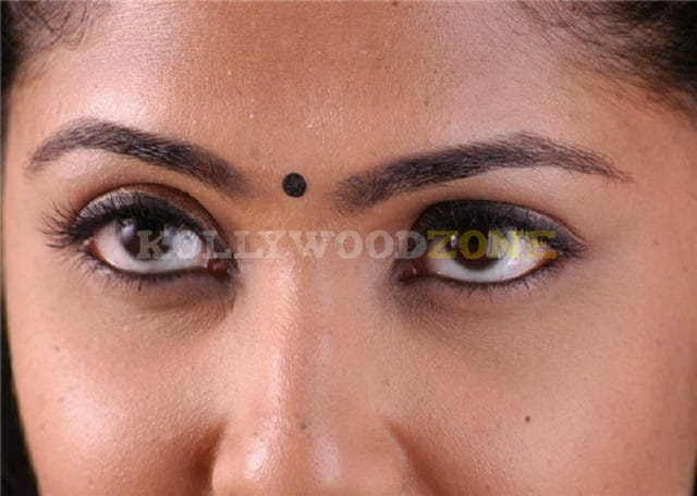 Kamalini Mukherjee Sexy Pictures 06