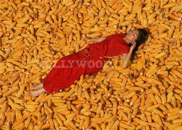 Kamalini Mukherjee Sexy Pictures 17