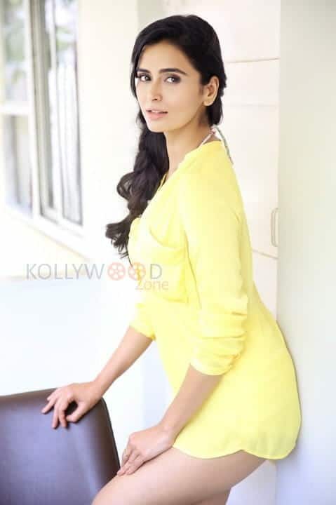 Meenakshi Dixit Sexy New Photoshoot 12