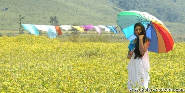 Padma Priya In Gokulam Movie Photos 27
