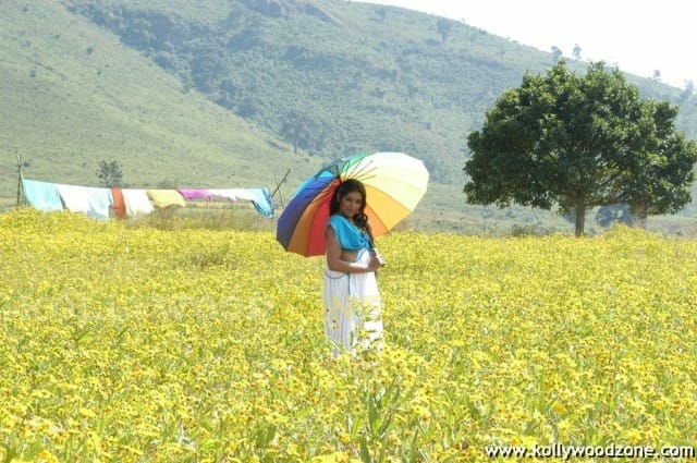Padma Priya In Gokulam Movie Photos 28