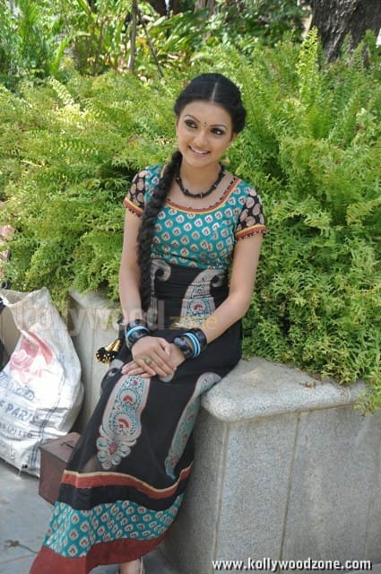 Saranya Mohan Tradiotional Photos 02