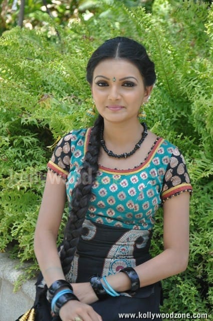 Saranya Mohan Tradiotional Photos 22