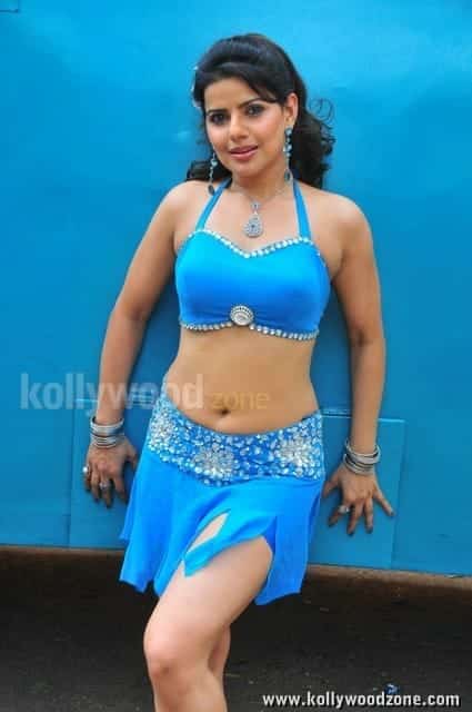 Sexy Madhu Sharma Hot Stills 13