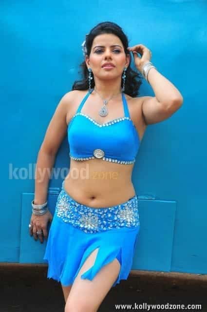 Sexy Madhu Sharma Hot Stills 18