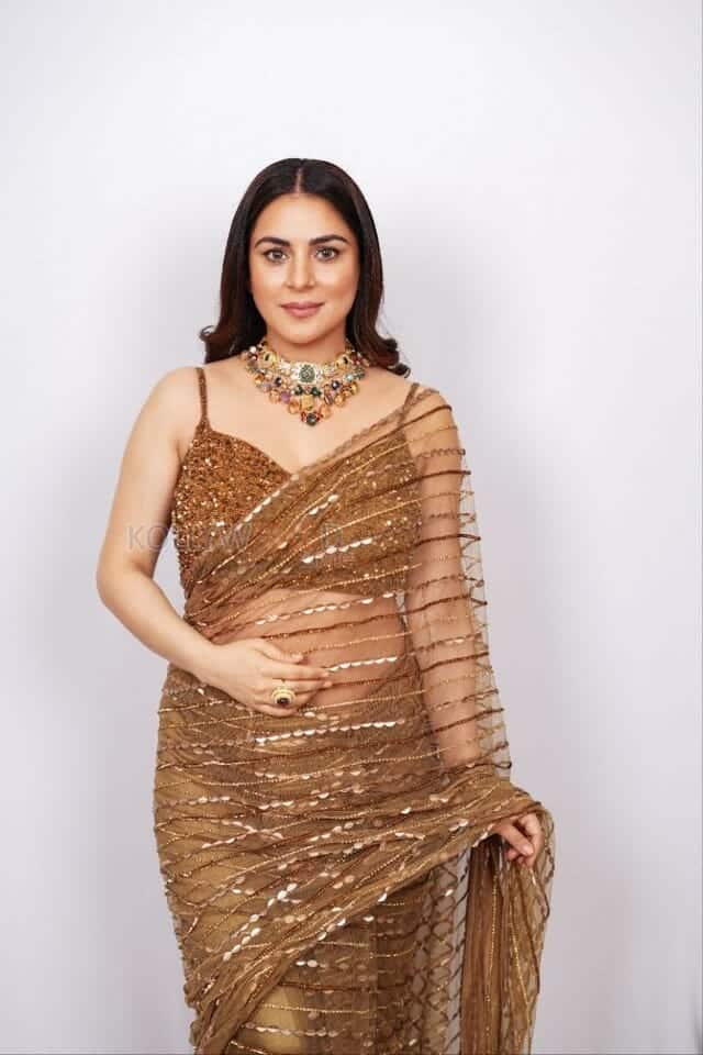 Sexy Shraddha Arya in a Brown Transparent Saree Photo 01