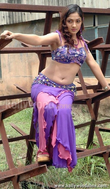 Sheela Hot Navel Photos 03