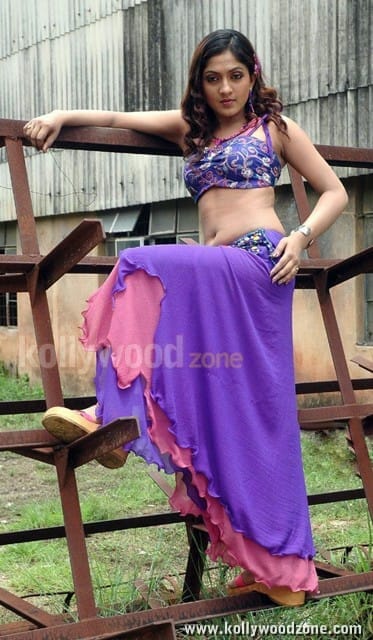 Sheela Hot Navel Photos 07