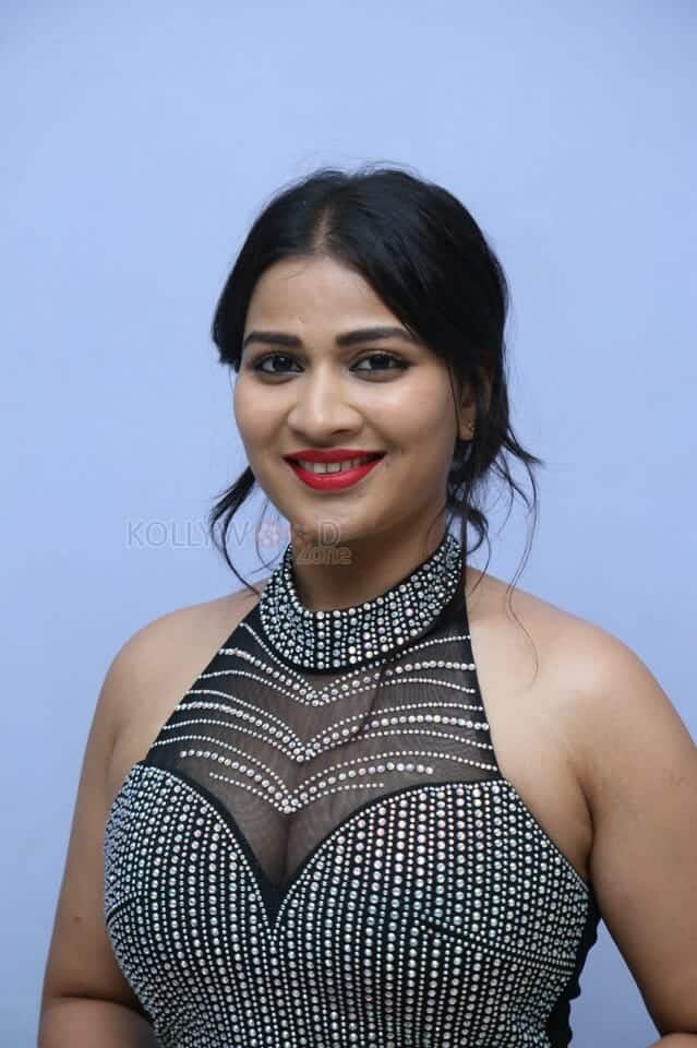 Actress Inaya Sultana at Nataratnalu Movie Audio Launch Event Photos 23