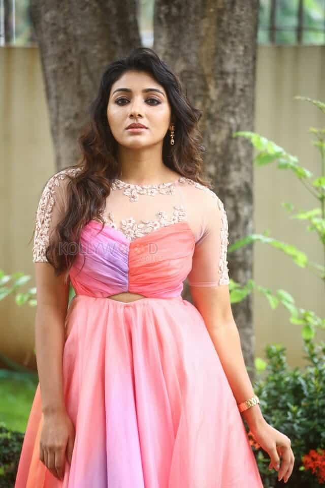 Actress Mirnaa Menon at Crazy Fellow Success Meet Photos 02