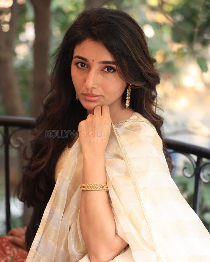 Birthmark Actress Mirnaa Menon in a White Saree Pictures 01