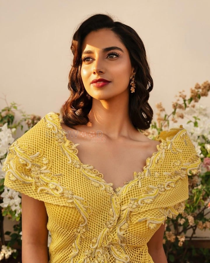 Dream Girl of South Indian Cinema Meenakshi Chaudhary in a Yellow Full Length Dress Photos 04