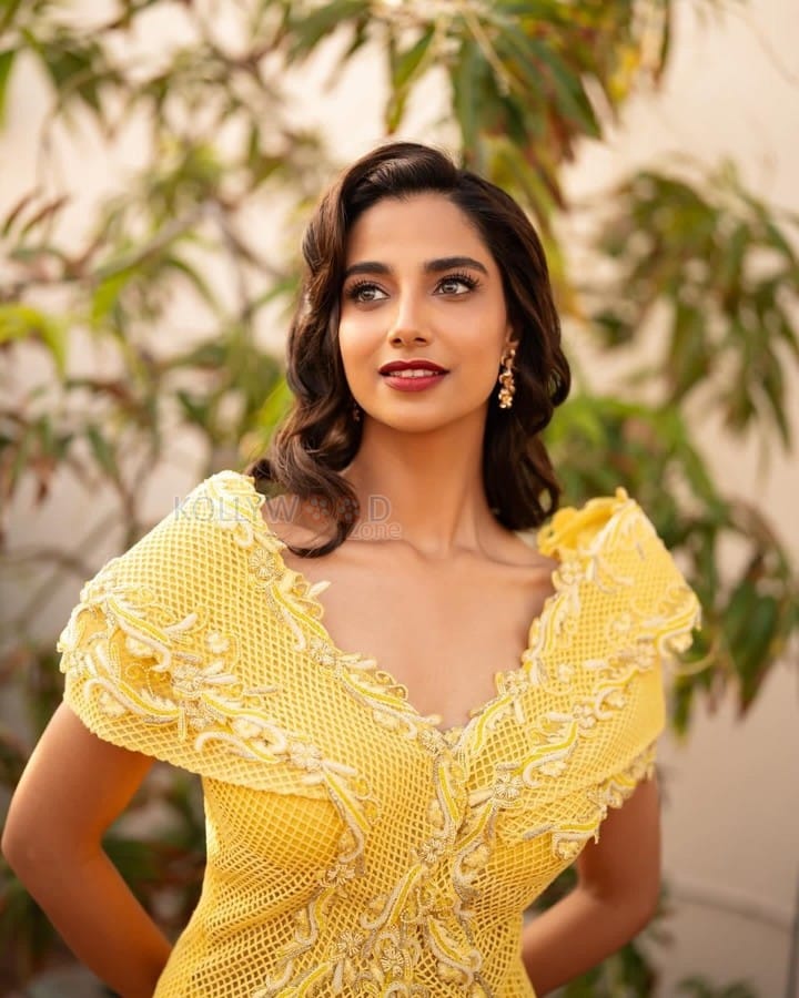 Dream Girl of South Indian Cinema Meenakshi Chaudhary in a Yellow Full Length Dress Photos 06