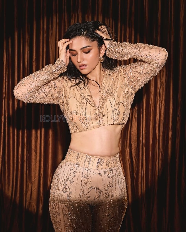 Glam Kayadu Lohar in a Golden Top with a Matching Pant Pictures 01