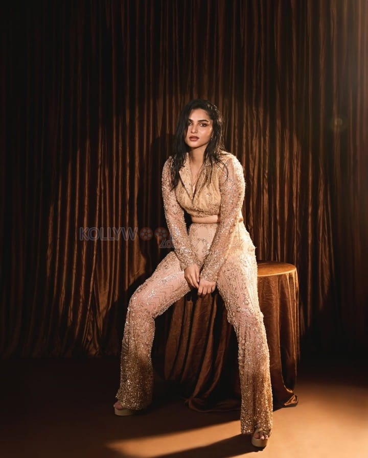 Glam Kayadu Lohar in a Golden Top with a Matching Pant Pictures 03