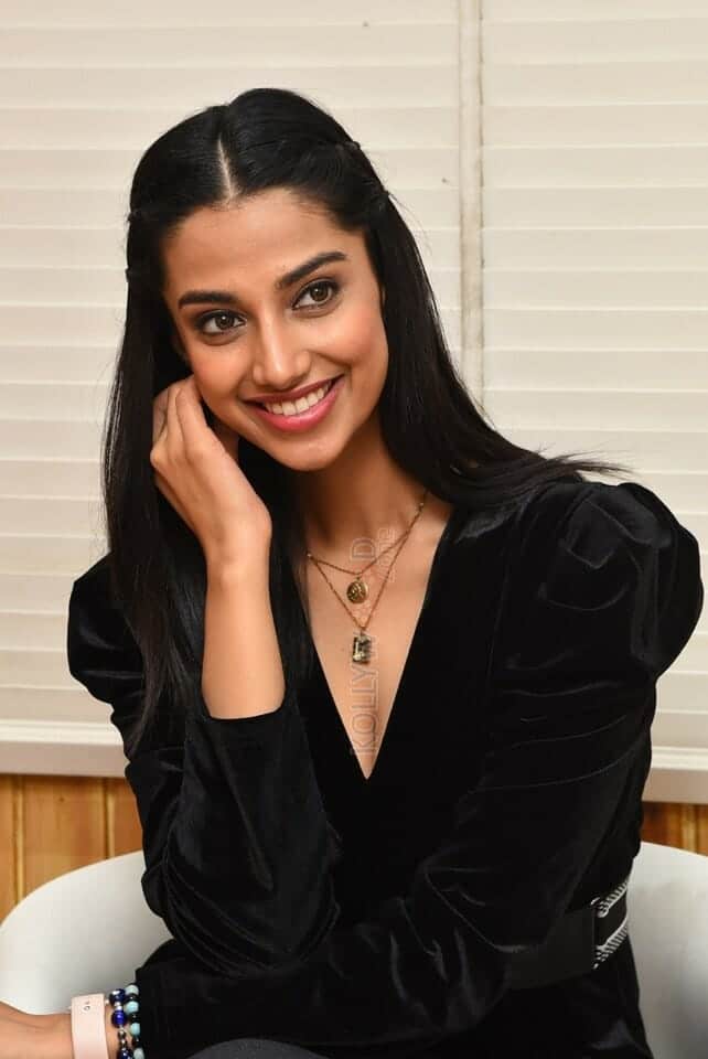 Meenakshi Choudhary at Khiladi Movie Interview Stills 26