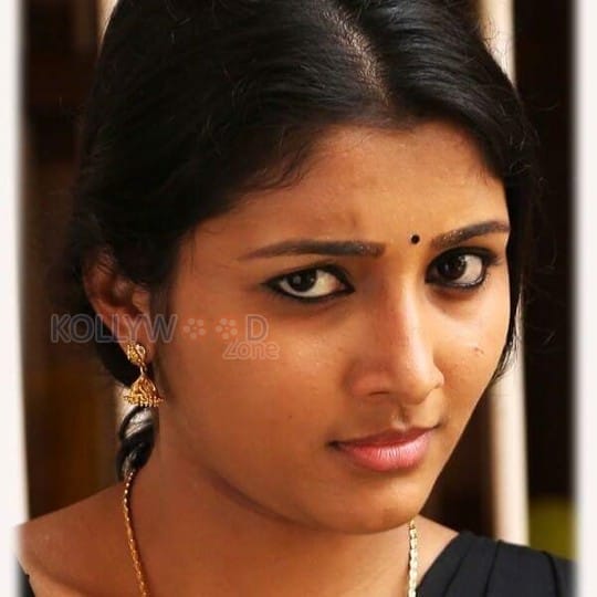 Pattathari Movie Heroine Aditi Photos 06