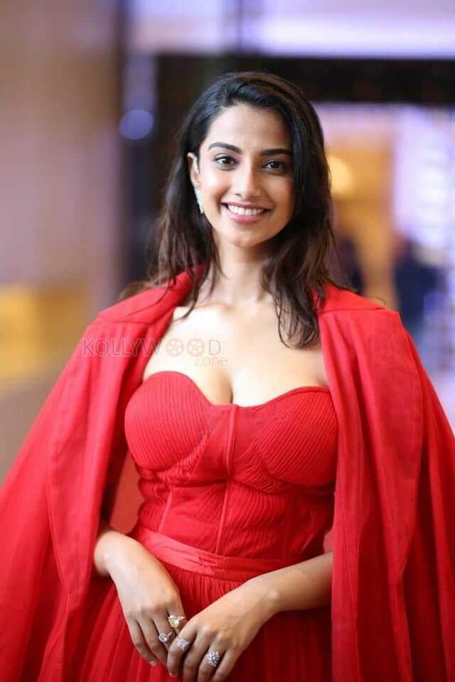 Sexy Meenakshi Chaudhary at SIIMA Press Meet Photos 01