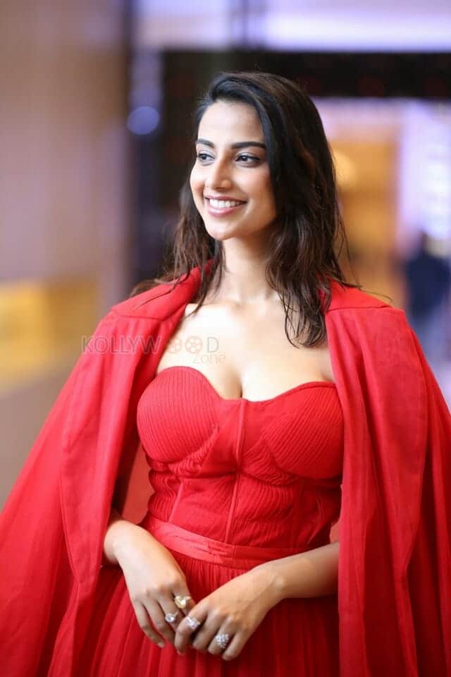 Sexy Meenakshi Chaudhary at SIIMA Press Meet Photos 02